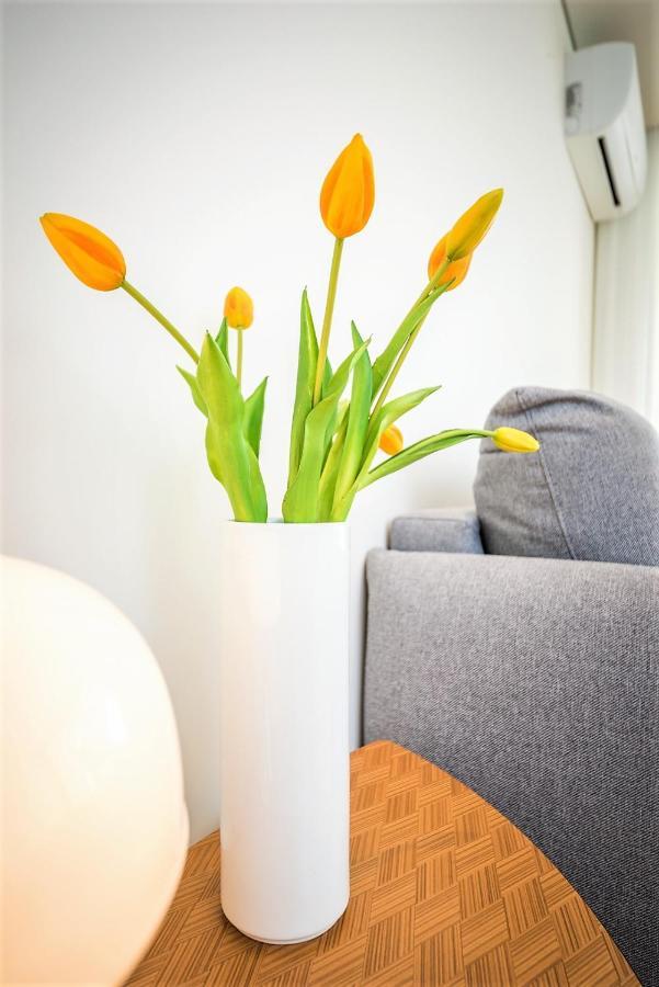 Apartamento Bom Jardim Oporto